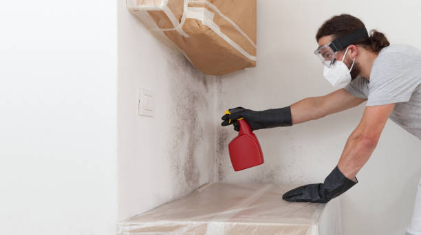 Professional Basement Mold Removal technician working in Emerson, GA
