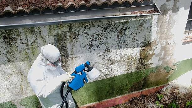 Top rated local Basement Mold Removal specialists in Emerson, GA